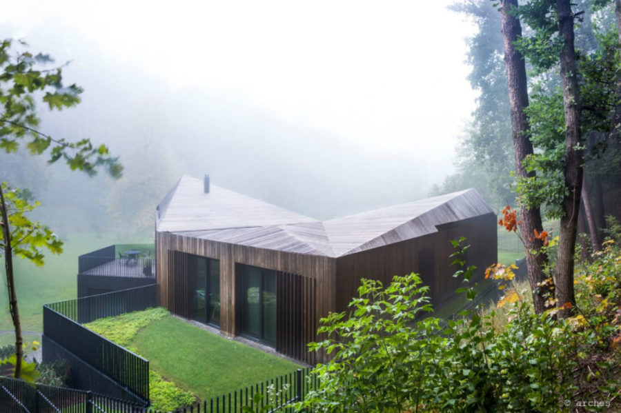 Contemporary Forest Valley Villa in Vilnius