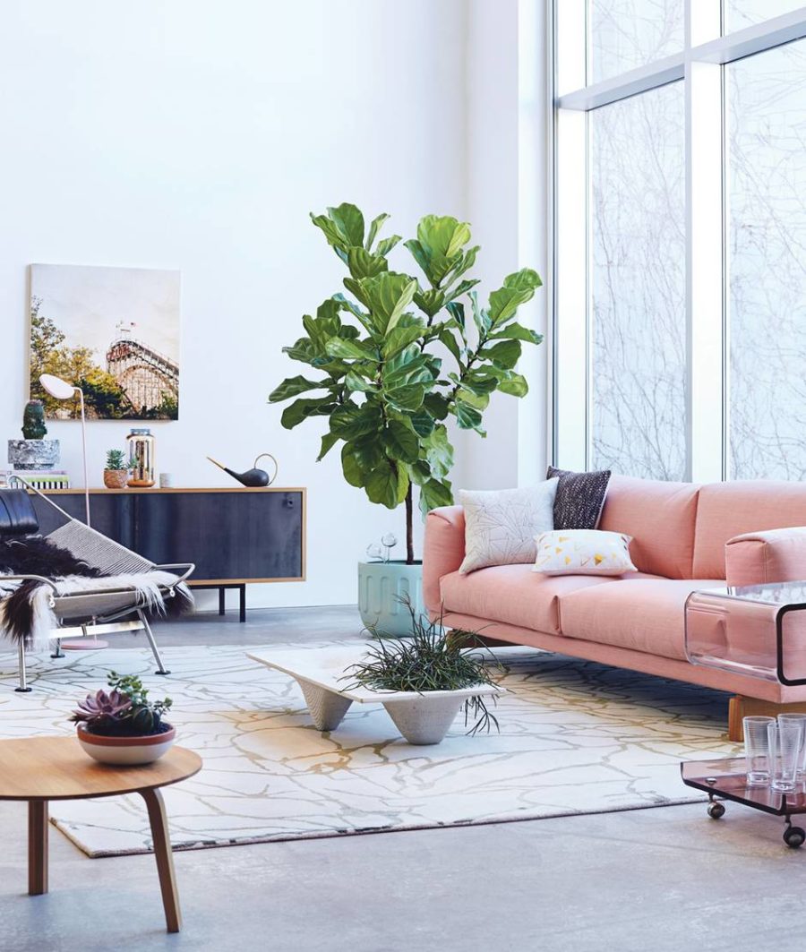 Stylish and Contemporary Interior Greenery Ideas