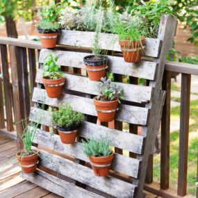 A pallet garden adds color, as well a natural feel to your patio or porch area. Choose plants that can survive a higher temperature increase.