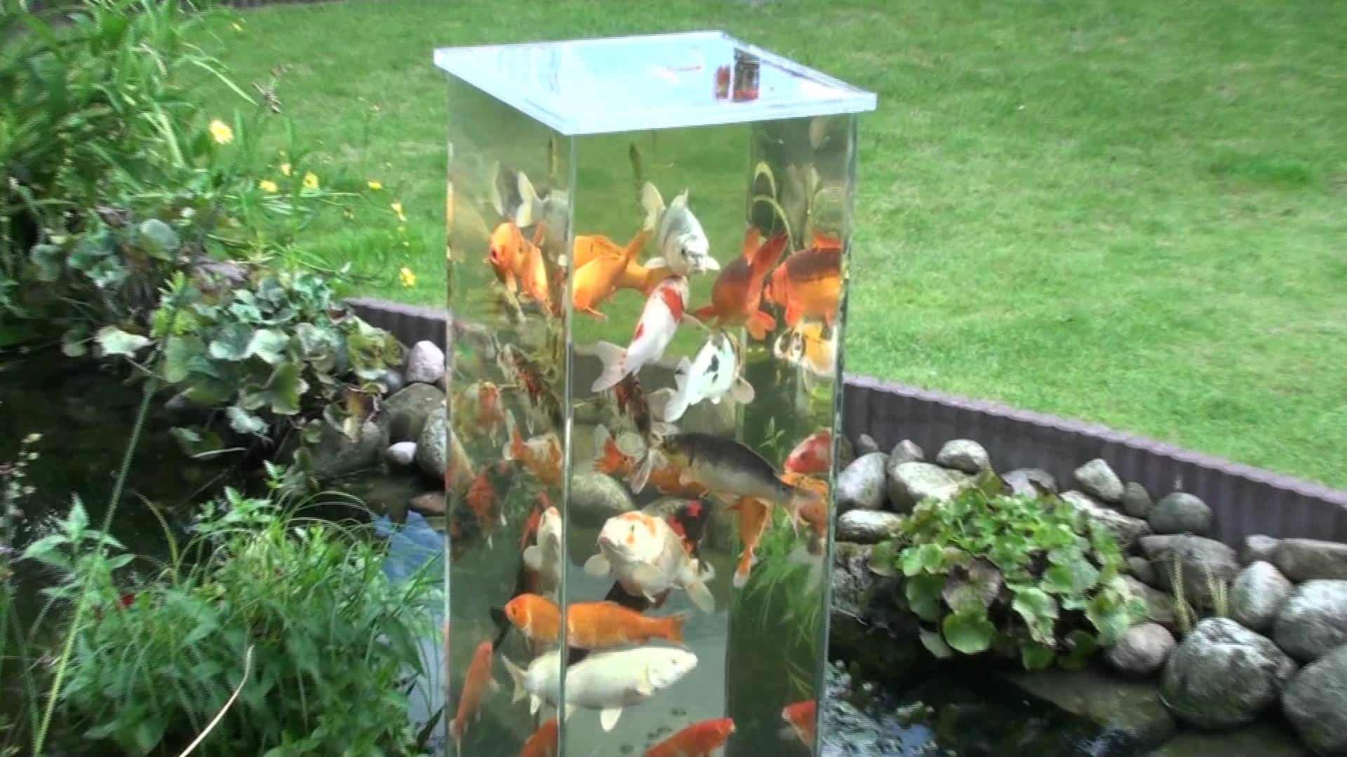 35 Sublime Koi Pond Designs and Water Garden Ideas for ...