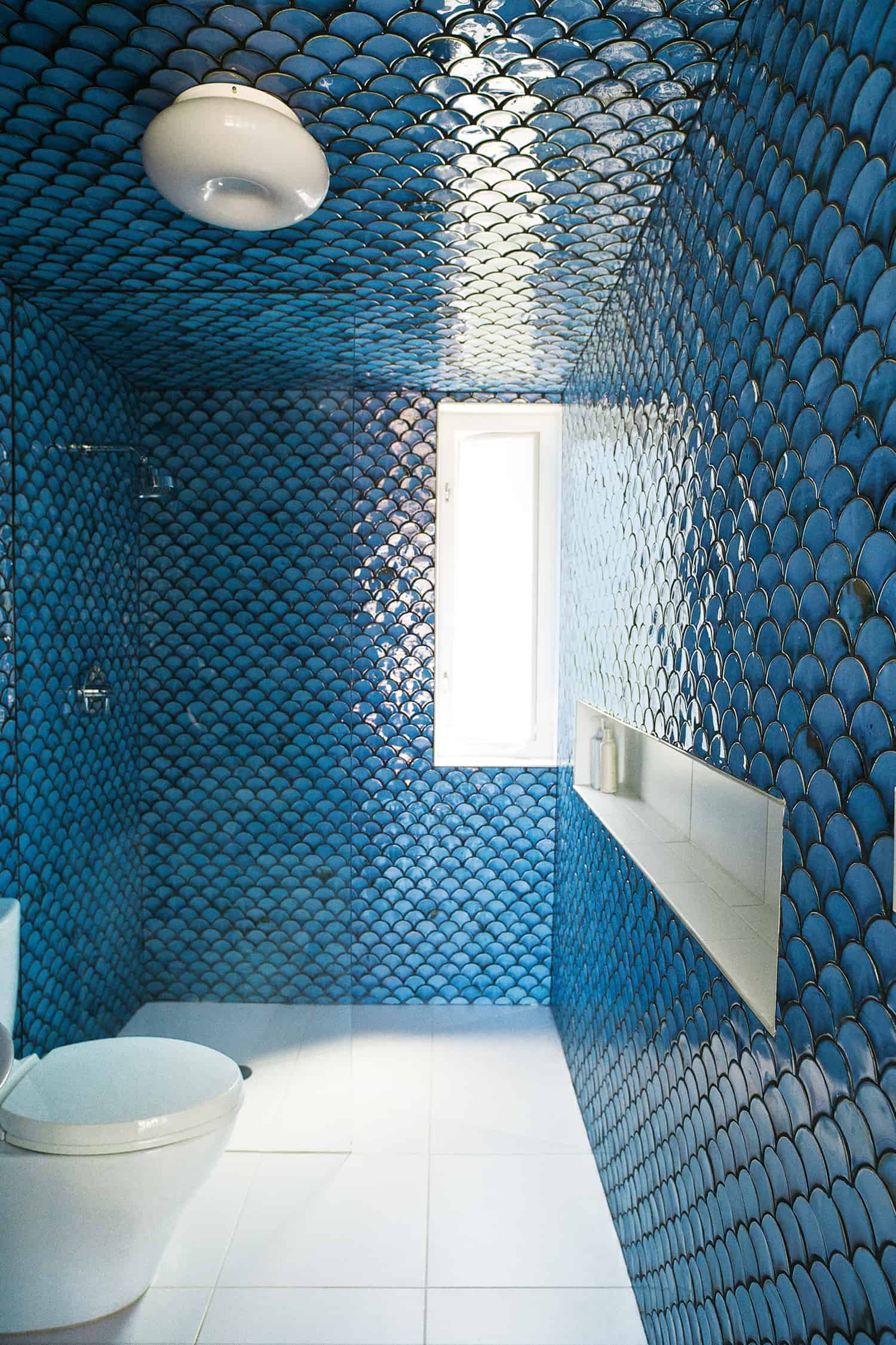 Fish scale shower