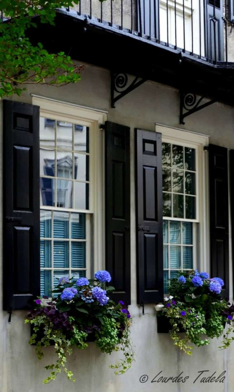 black exterior shutters