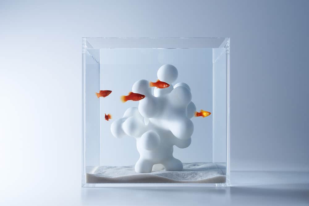A sculptural fish tank by Haruka Misawa