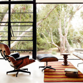 Everything You Wanted to Know About Eames Chair