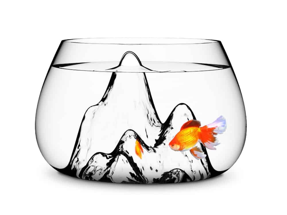 Fishscape Fishbowl by  BY Aruliden