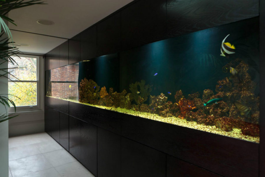 modern contemporary interior fish tank