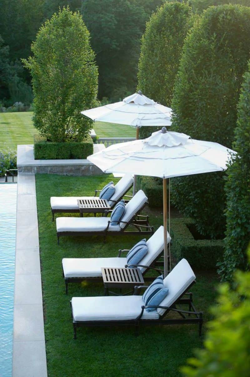 Pool backyard lounge chairs