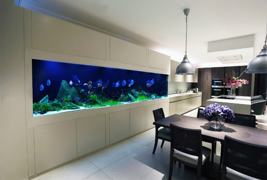 Amazing Built In Aquariums Interior Design - Fish Tank In Wall Cost Uk