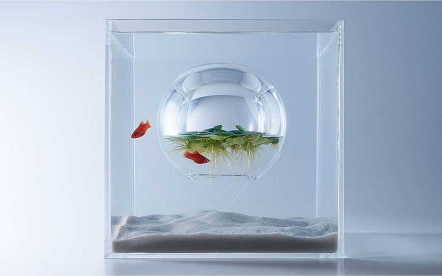 Unusual fish tank by Haruka Misawa