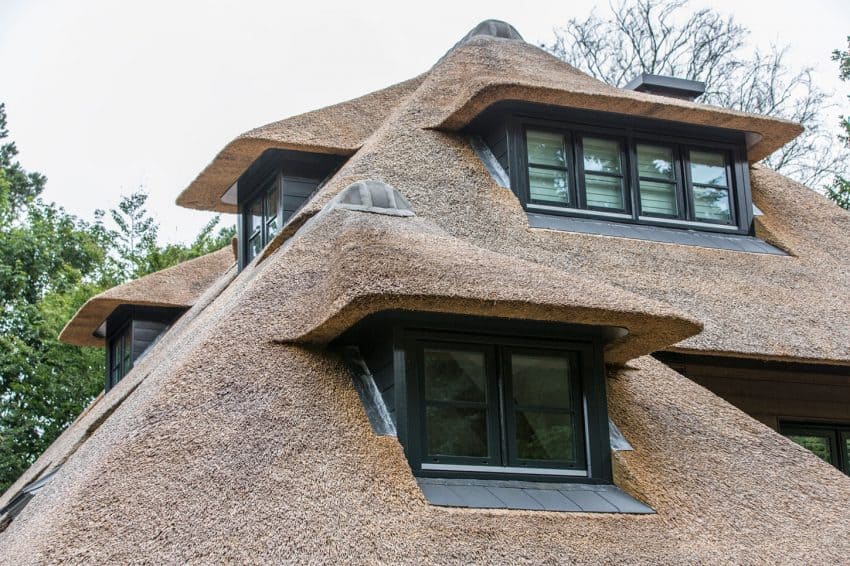 Impeccable roof detail