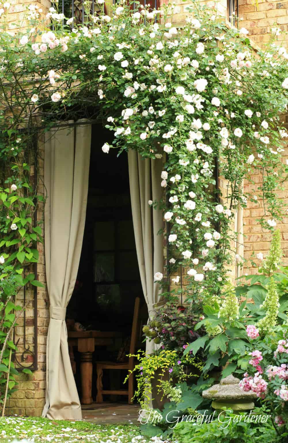 The Graceful Gardener rose arch