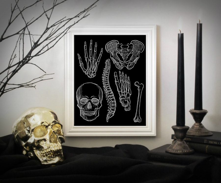 Anatomy Instant Download Art Print 900x746 Contemporary Halloween Art for Tasteful Holiday Decor