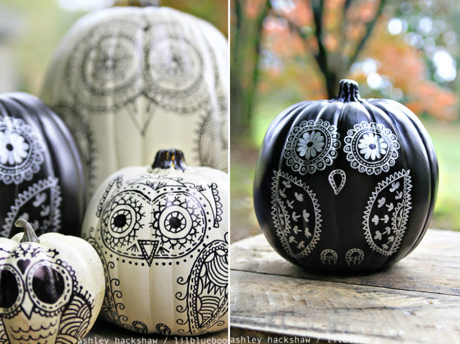 Owl pumpkins