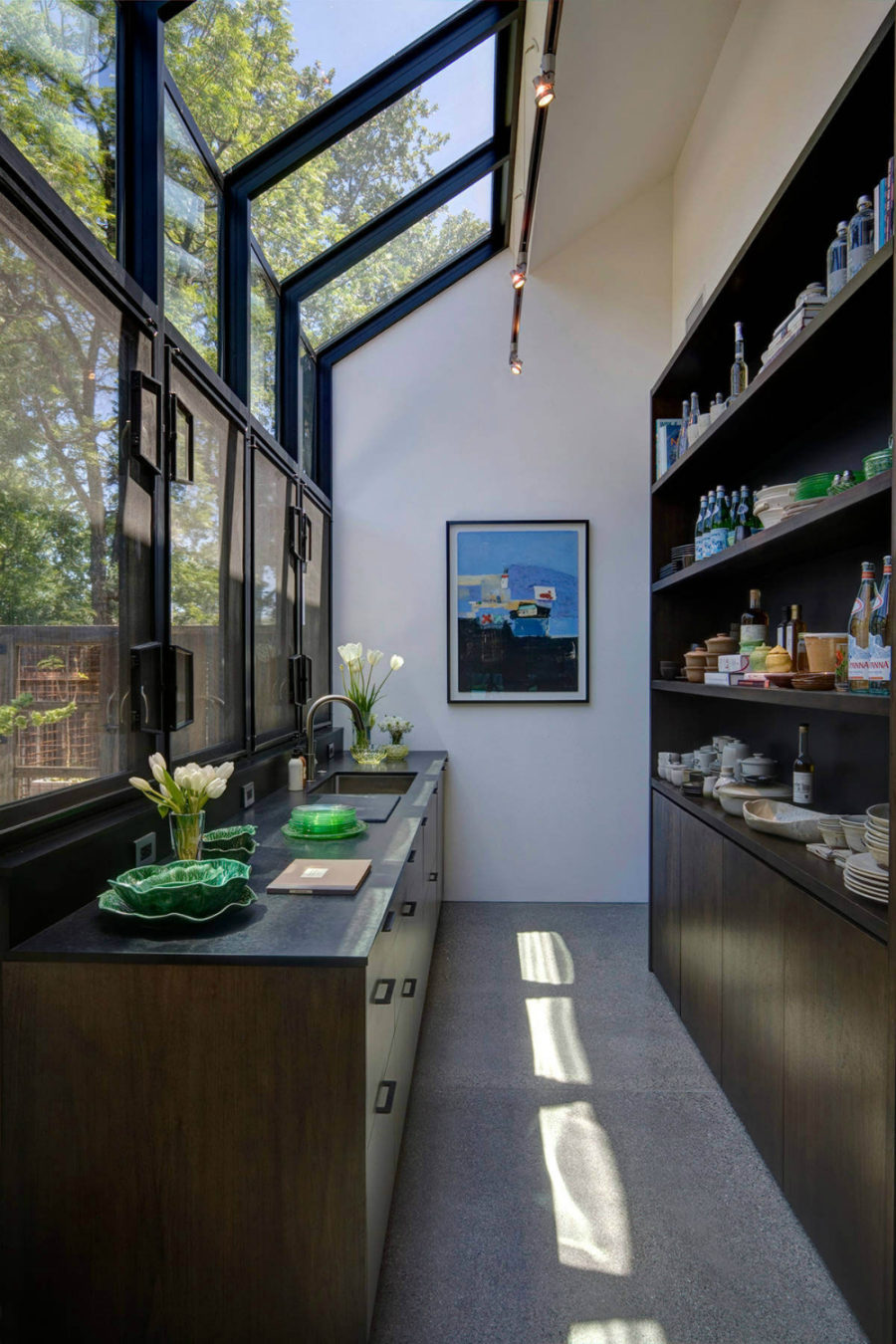 Contemporary pantry with an atrium