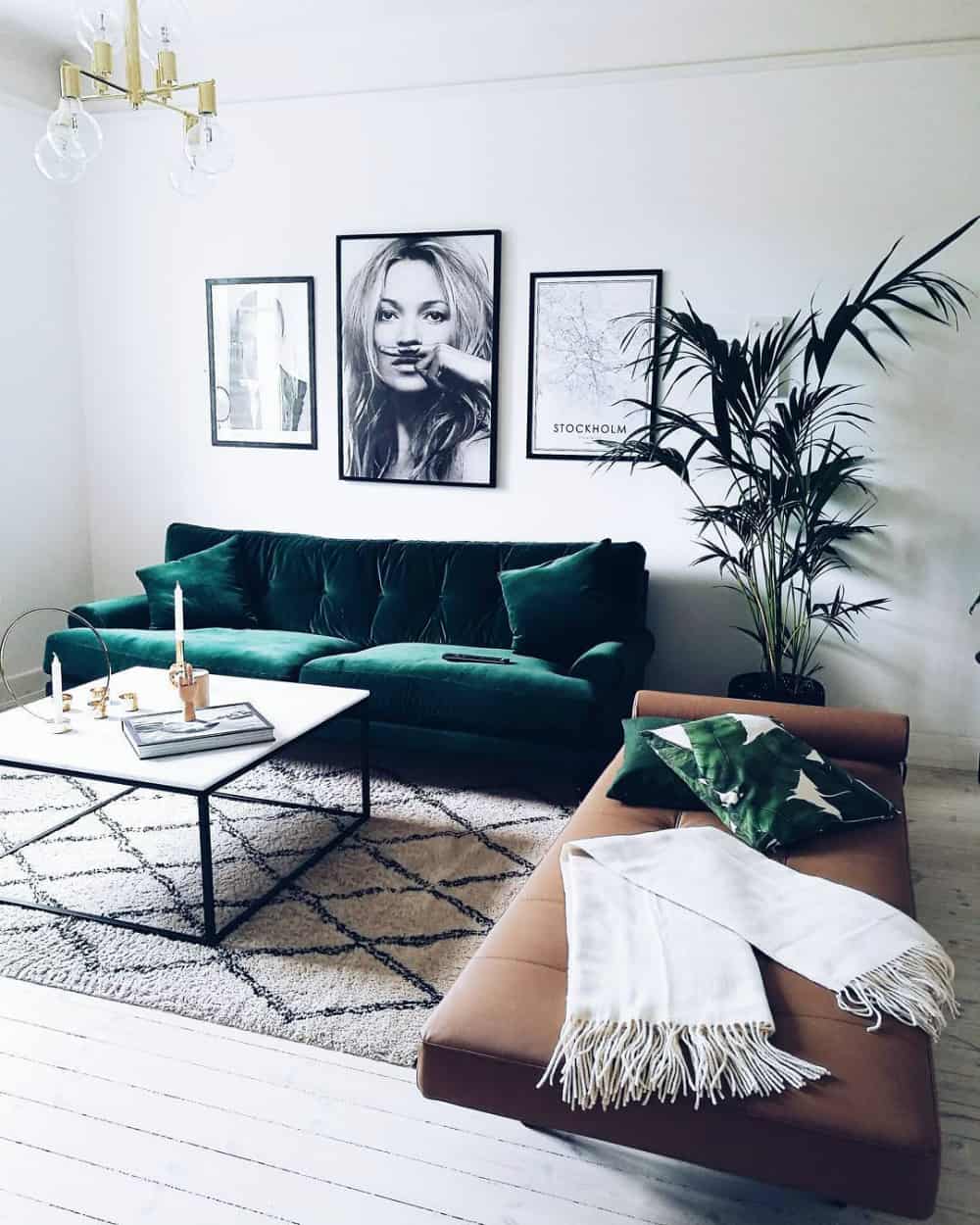Fashionable living room with a live plant