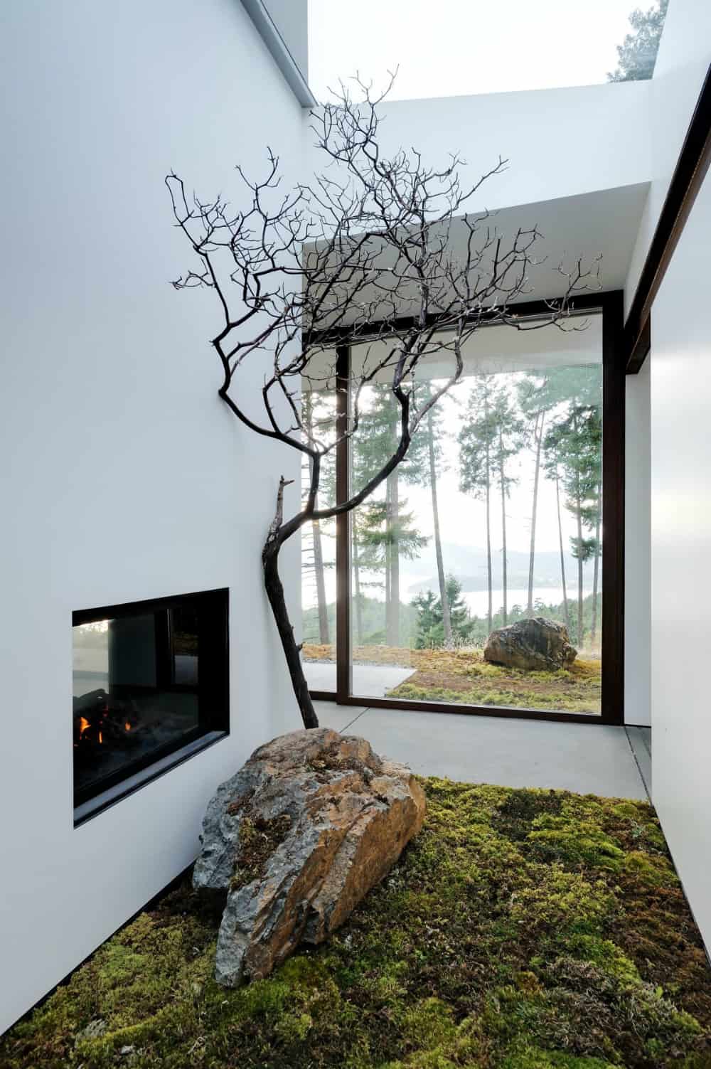 Indoor garden by Gary Gladwish Architecture