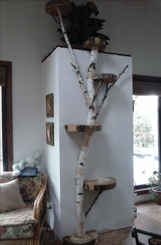 Tree branch cat tree indoor