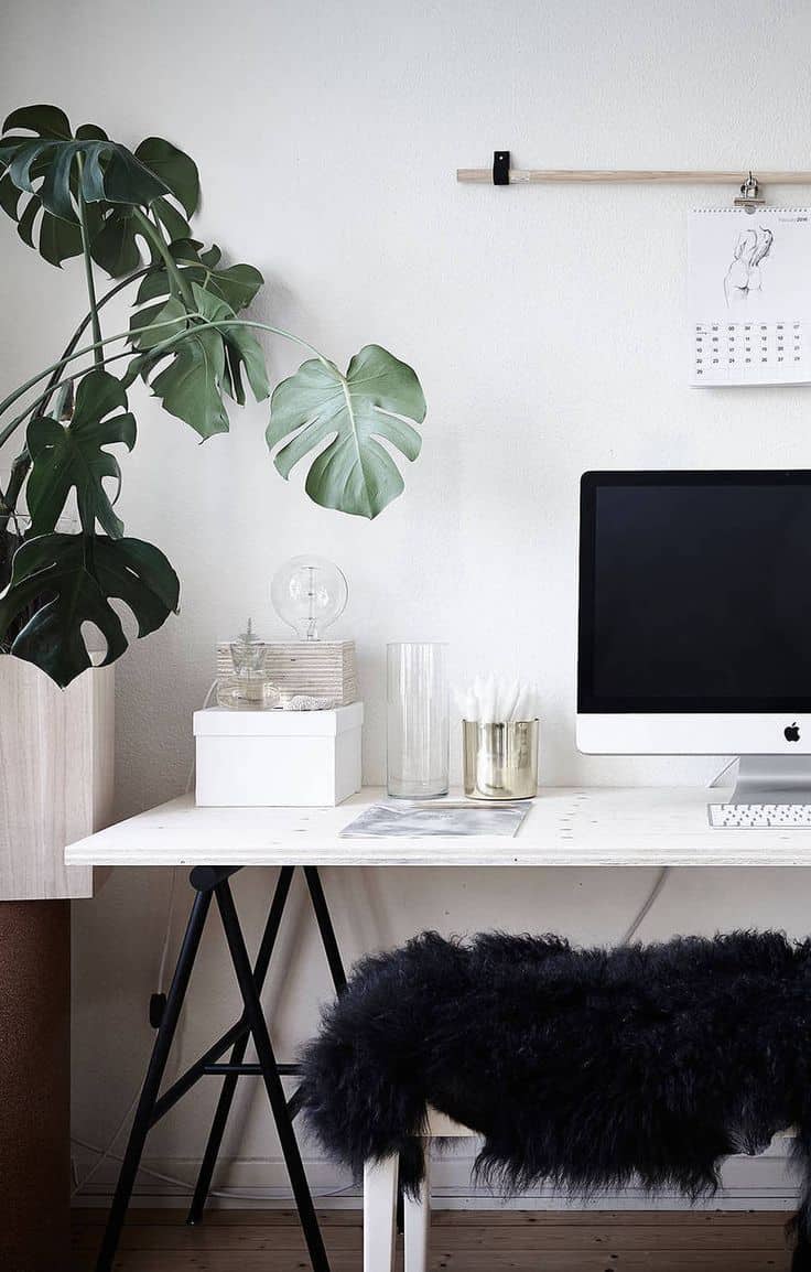 home office with plant