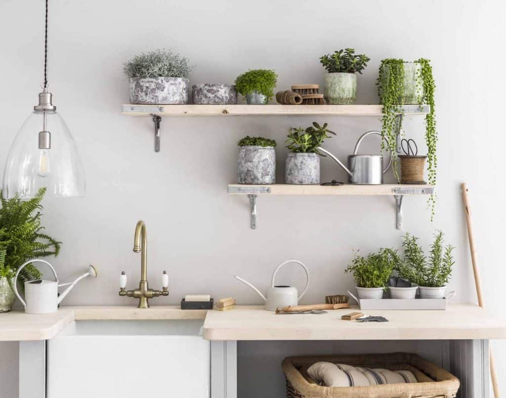 kitchen with plants