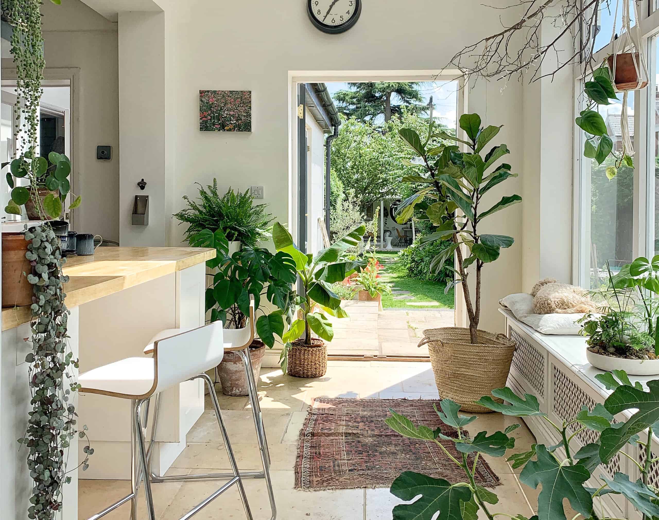 house plants scaled Alluring Apartment Kitchens That Instantly Take Your Breath Away