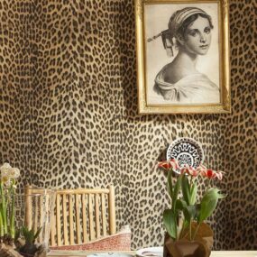 Cool wallpapers that will enchant every room