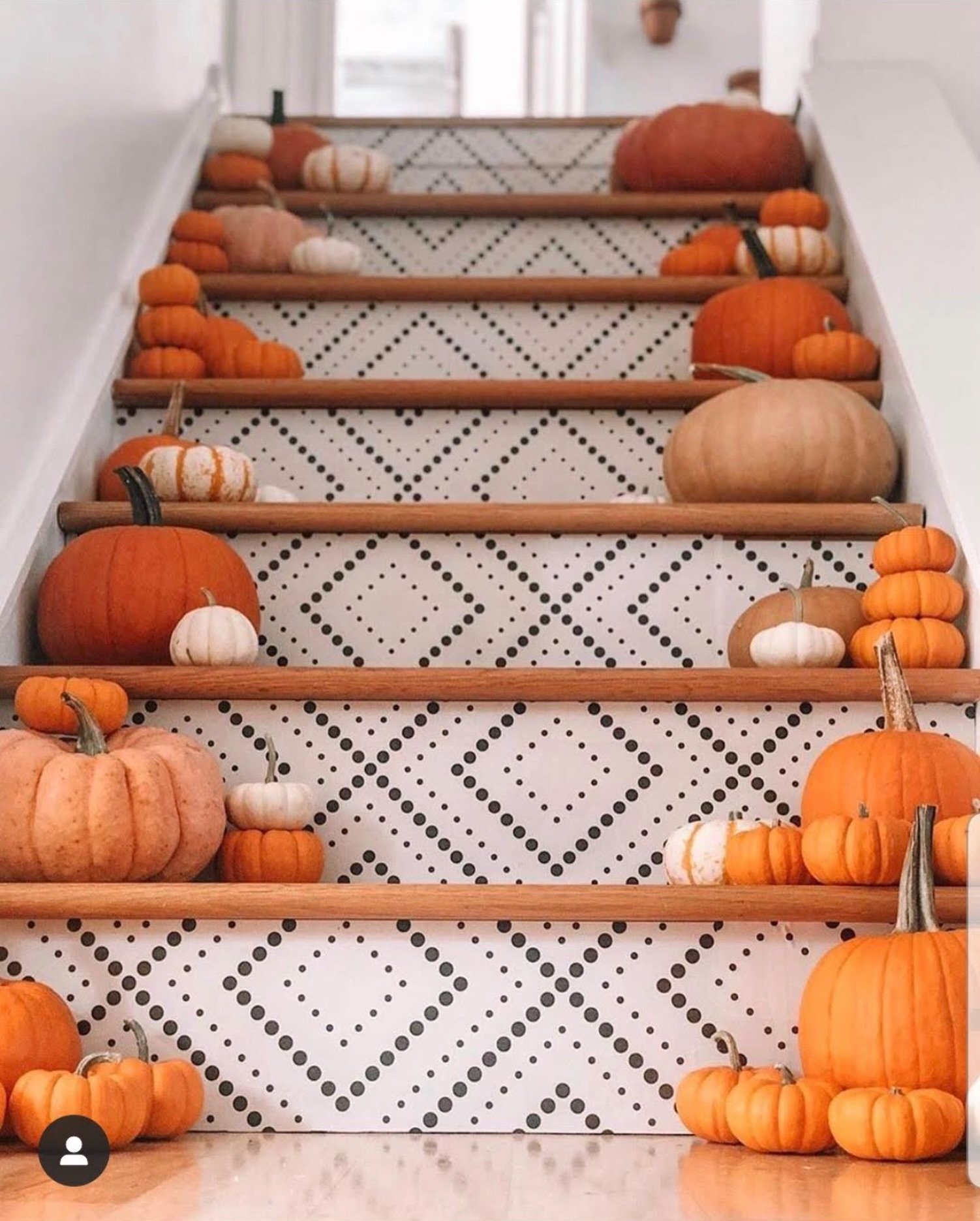 01-polka-dot-risers-pumpkin-lineup-americanstairandrails