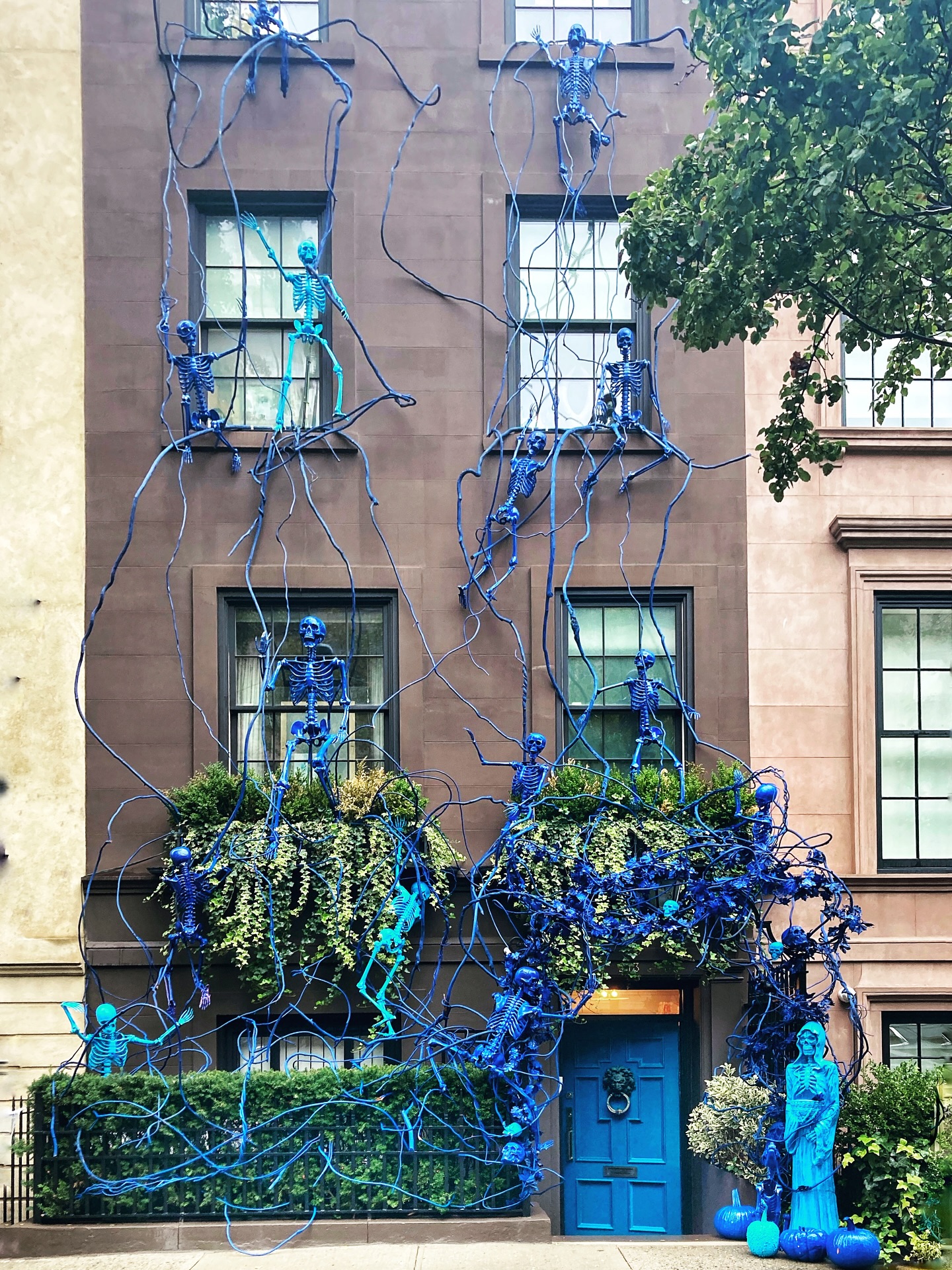 5-brownstone-climbing-blue-skeletons-vines