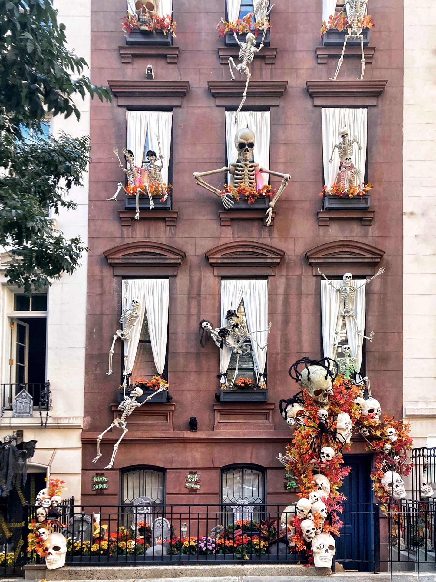 8-full-window-facade-takeover-skeletons-skulls