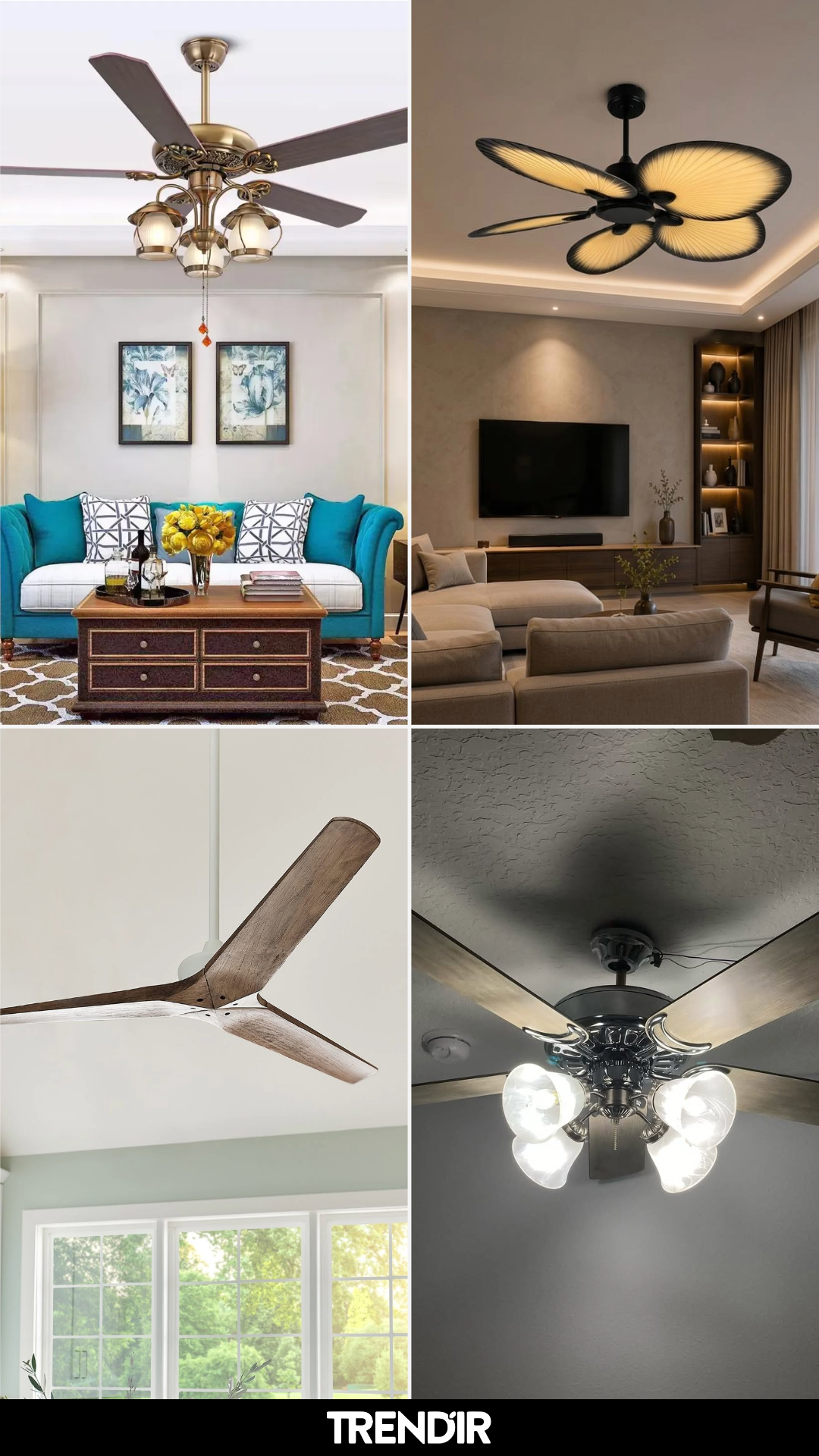 Ceiling Fan Ideas