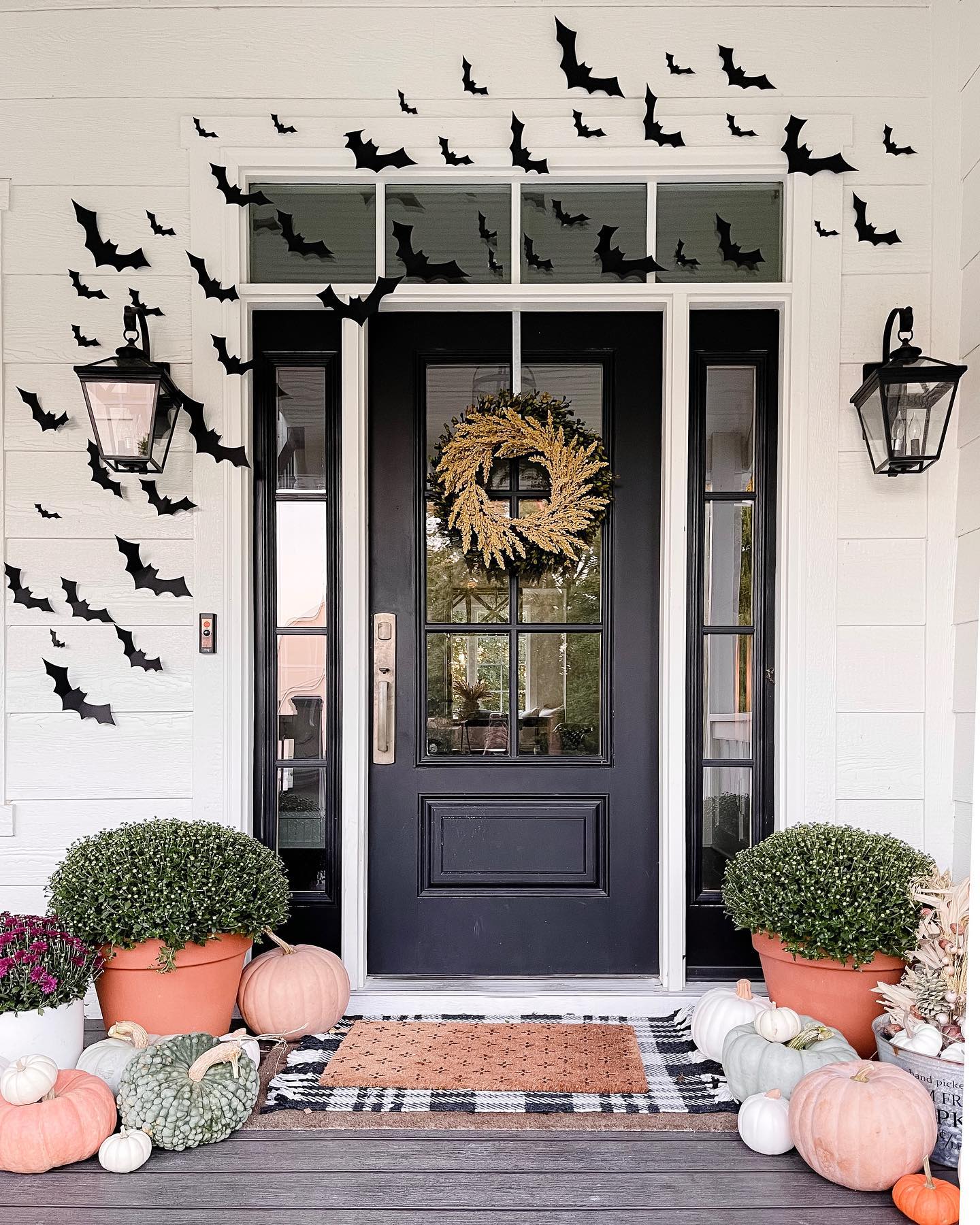 black-bat-silhouettes-heirloom-pumpkins-porch