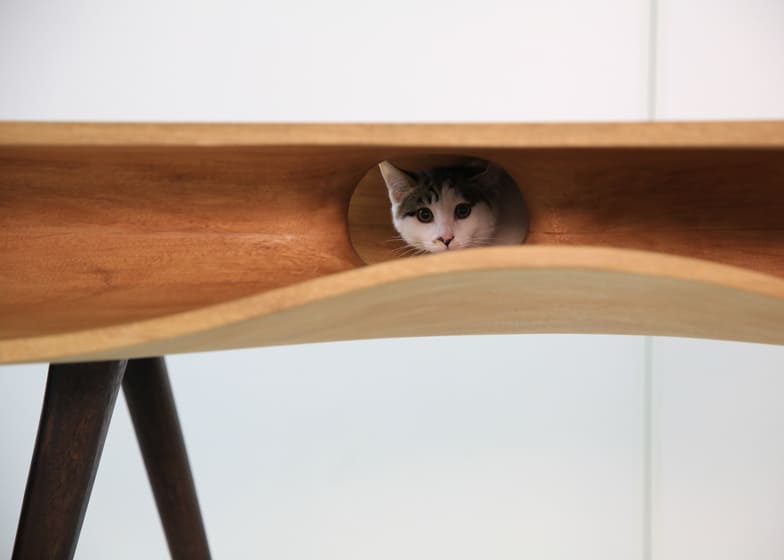 catable purr fect combination desk cat hangout 3