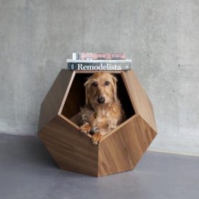 20 Uber Chic Dog Beds for a Modern Home