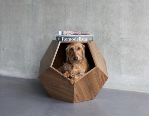 20 Uber Chic Dog Beds for a Modern Home