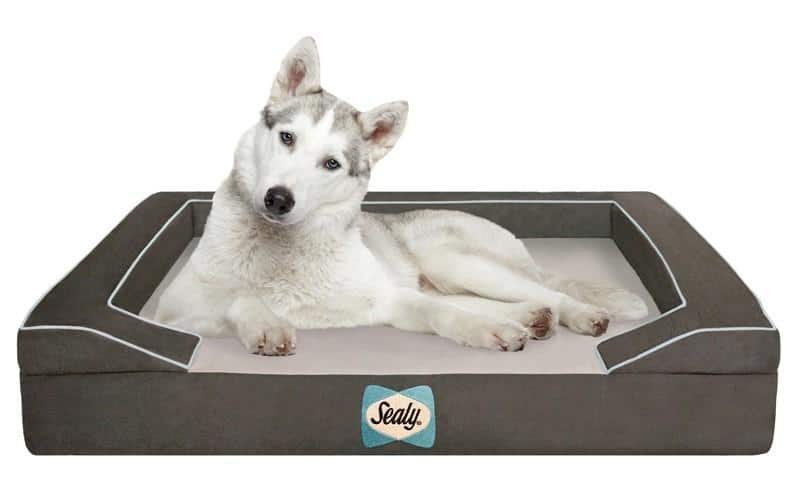 22-dog-beds-you-your-dog-love.jpg