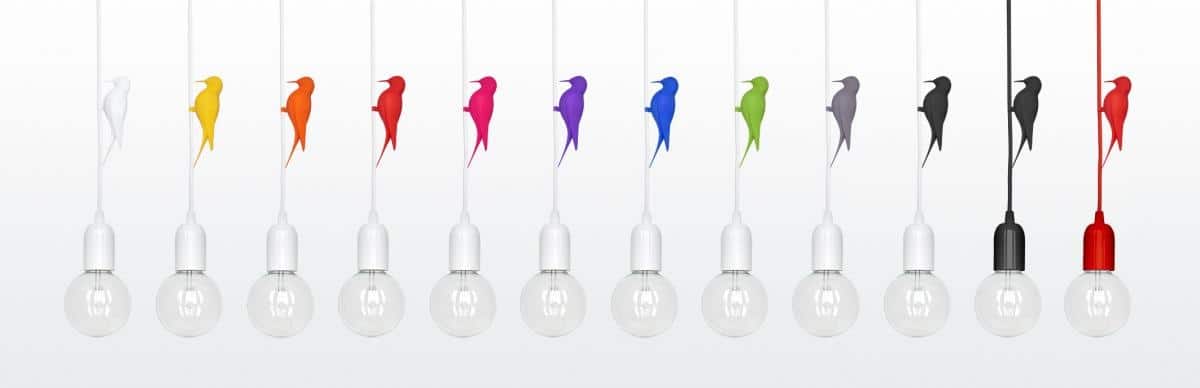13a lighting designs muse living creatures