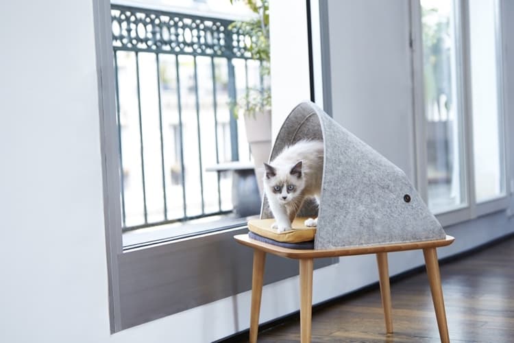 6 chic cosy cat beds modern homes