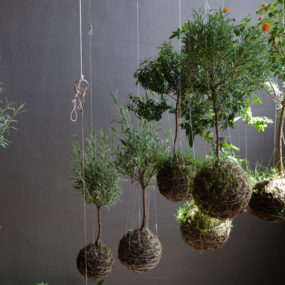 String Gardens: Magical Spheres of Modern Art for Your Home