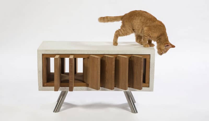 10 la architects design cat shelters charity