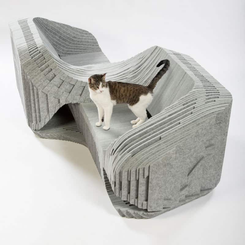 11 la architects design cat shelters charity