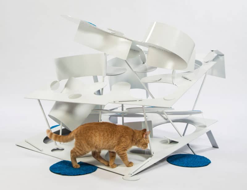 3 la architects design cat shelters charity