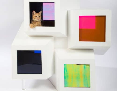 LA Architects Design Cat Shelters for Charity