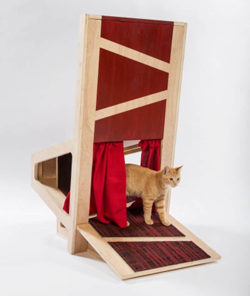 5 la architects design cat shelters charity