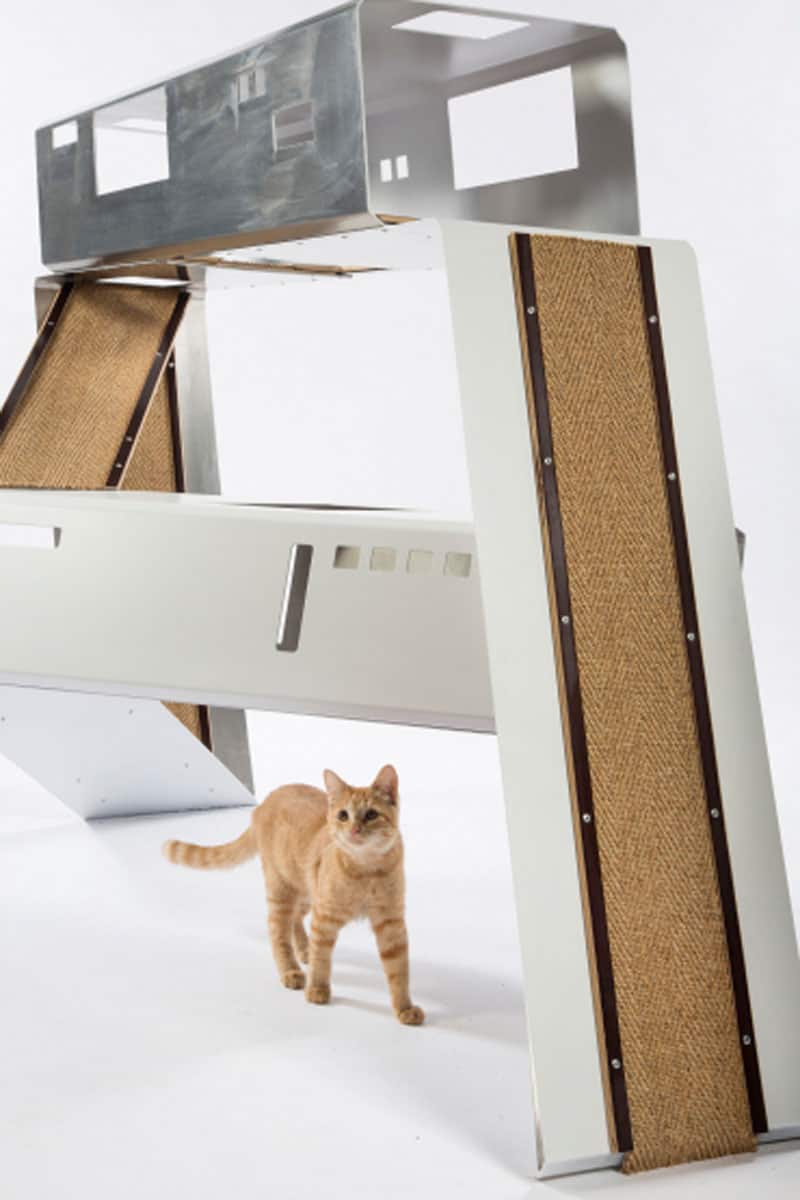 6 la architects design cat shelters charity