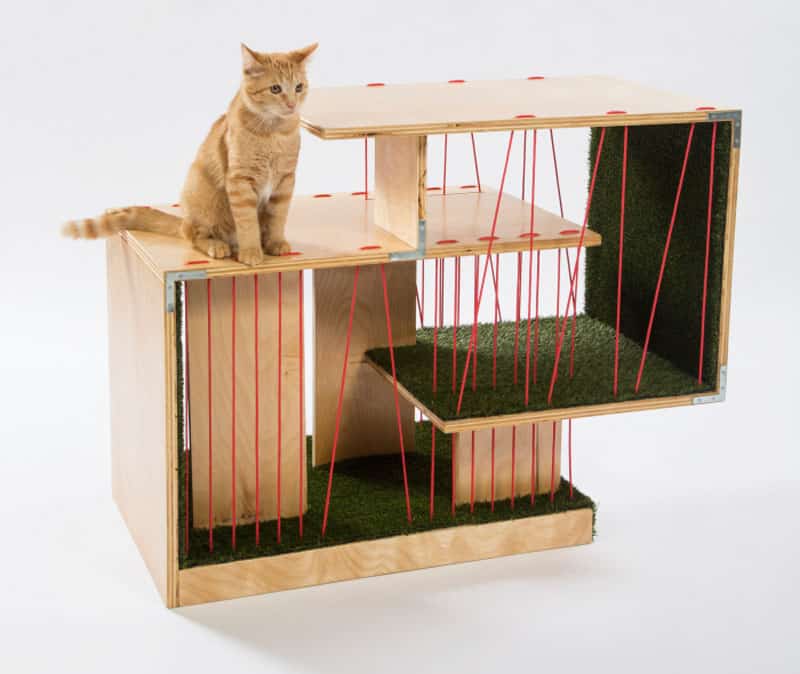 8 la architects design cat shelters charity