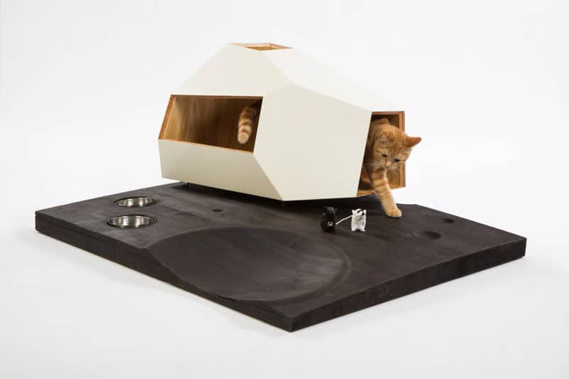 9 la architects design cat shelters charity