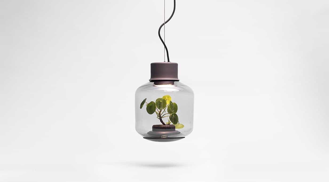 plant-lamps-with-natural-light-awesome-111.jpg