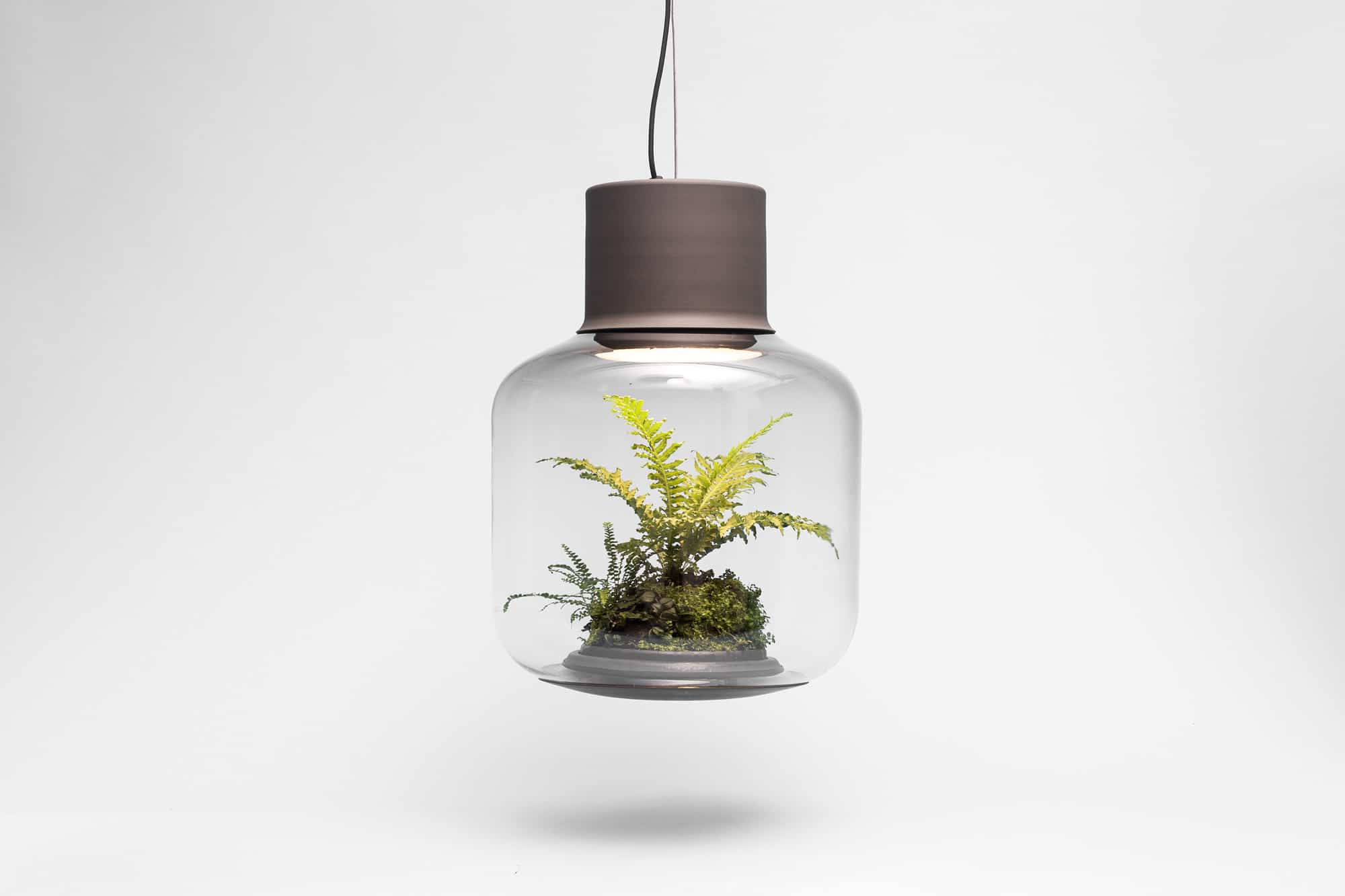 plant lamps with natural light awesome 8