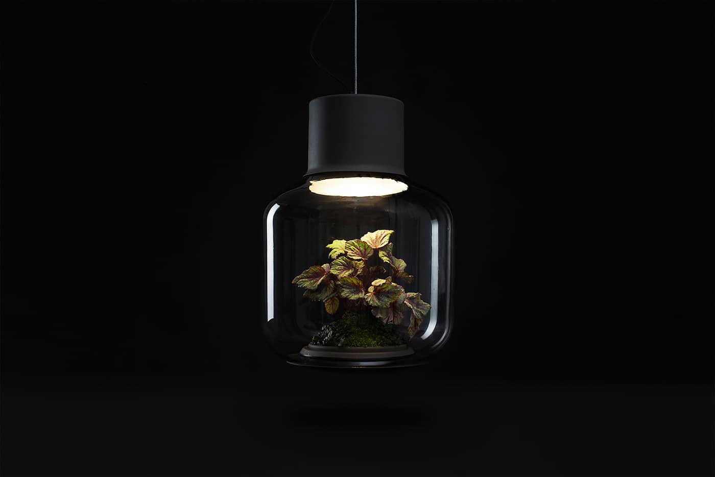 plant-lamps-with-natural-light-awesome-9.jpg