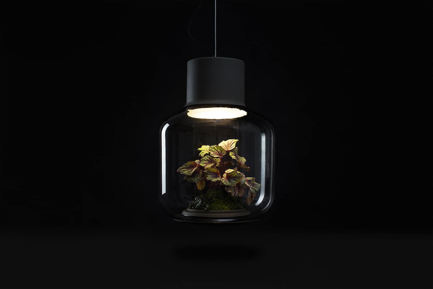 plant lamps with natural light awesome 9