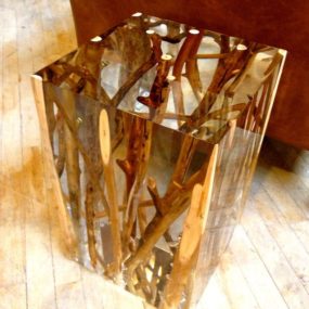 Driftwood Branches in Acrylic Side Table by Michael Dawkins
